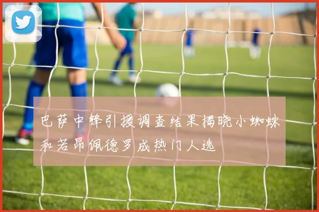 巴萨中锋引援调查结果揭晓小蜘蛛和若昂佩德罗成热门人选